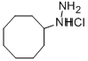 1-cyclooctylhydrazine hydrochloride Structure