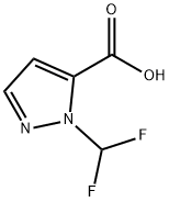 2-DIFLUOROMETHYL-2 H-PYRAZOLE-3-CARBOXYLIC ACID Structure