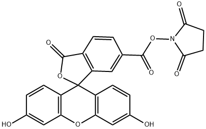 6-カルボキシフルオレセイン-N-ヒドロキシスクシンイミドエステル 化学構造式