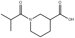 926214-33-7 1-异丁酰基3-哌啶甲酸