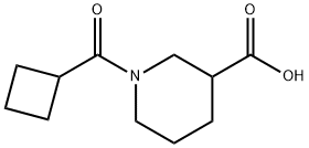 1-(シクロブチルカルボニル)-3-ピペリジンカルボン酸 化学構造式