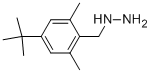 926261-89-4 (4-tert-butyl-2,6-dimethylbenzyl)hydrazine