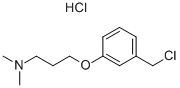 3-[3-(chloromethyl)phenoxy]-n,n-dimethylpropylamine hydrochloride Structure