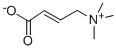 CROTONYLBETAINE(CARNITINE IMPURITY)(RG) Structure