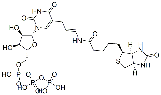 5-(N-biotinyl-3-aminoallyl)uridine 5'-triphosphate|