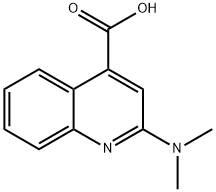 2-(DiMethylaMino)quinoline-4-carboxylic acid Struktur