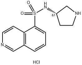 (S)-Isoquinoline-5-sulfonic acid pyrrolidin-3-ylamide dihydrochloride Struktur