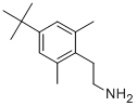 2-(4-TERT-BUTYL-2,6-DIMETHYLPHENYL)ETHANAMINE 结构式