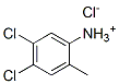 4,5-dichloro-2-methylanilinium chloride 结构式