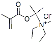 diethylmethyl[[1-methyl-1-(2-methyl-1-oxoallyl)oxy]ethyl]ammonium chloride 结构式