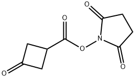 3-Oxo-cyclobutanecarboxylic acid 2,5-dioxo-pyrrolidin-1-yl ester 化学構造式