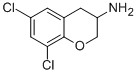 2H-1-BENZOPYRAN-3-AMINE,6,8-DICHLORO-3,4-DIHYDRO- Structure