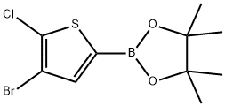 2-(4-溴-5-氯噻吩-2-基)-4,4,5,5-四甲基-1,3,2-二氧杂硼烷, 942070-02-2, 结构式