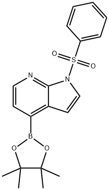 1H-Pyrrolo[2,3-b]pyridine, 1-(phenylsulfonyl)-4-(4,4,5,5-tetramethyl-1,3,2-dioxaborolan-2-yl)- Struktur