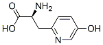 beta-(5-hydroxy-2-pyridyl)alanine 结构式
