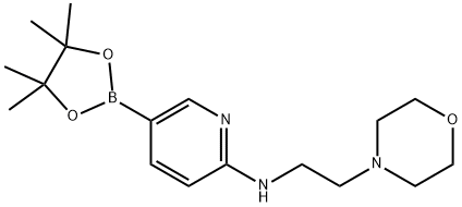 2‐(2‐モルホリノエチルアミノ)ピリジン‐5‐ボロン酸ピナコールエステル 化学構造式