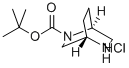 (1S,4S)-2,5-二氮杂双环[2.2.2]辛烷-2-羧酸叔丁酯盐酸盐, 944086-67-3, 结构式