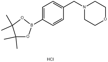 4-(4-MORPHOLINOMETHYL)-PHENYLBORONIC ACID PINACOL ESTER HYDROCHLORIDE Struktur