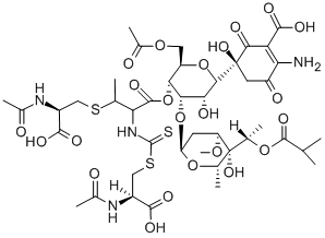 paldimycin B Struktur