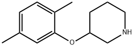 3-(2,5-DIMETHYLPHENOXY)피페리딘