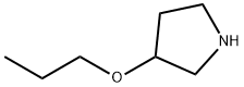 3-プロポキシピロリジン 化学構造式