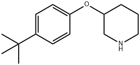 3-[4-(TERT-BUTYL)PHENOXY]PIPERIDINE|3-(4-(叔丁基)苯氧基)哌啶