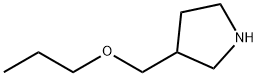 3-(propoxymethyl)pyrrolidine(SALTDATA: 0.25H2CO3) Structure