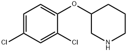 3-(2,4-DICHLOROPHENOXY)PIPERIDINE Structure