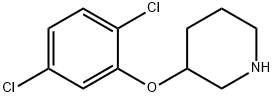 3-(2,5-二氯苯氧基)哌啶 结构式
