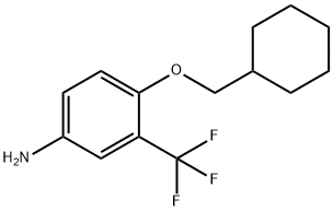 BenzenaMine, 4-(cyclohexylMethoxy)-3-(trifluoroMethyl)-|
