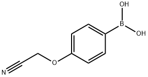 4-Cyanomethoxyphenylboronic acid Structure