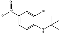 2-Bromo-N-t-butyl-4-nitroaniline 化学構造式