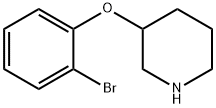 3-(2-Bromo-phenoxy)-piperidine Struktur