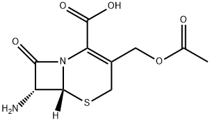 7-Aminocephalosporanic acid