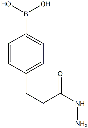 3-(4-Boronophenyl)propanehydrazide
