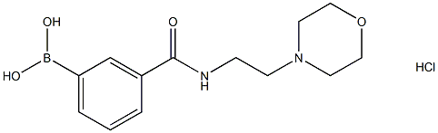 3-[2-(4-吗啉基)乙基氨甲酰基]苯硼酸盐酸盐 结构式