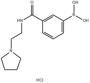 3-(2-(Pyrrolidin-1-yl)ethylcarbamoyl)phenylboronic acid, HCl 化学構造式