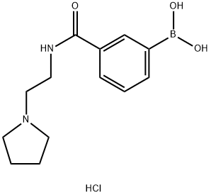 3-(2-(Pyrrolidin-1-yl)ethylcarbamoyl)phenylboronic acid, HCl Structure