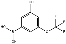 3-Hydroxy-5-(trifluoromethoxy)phenylboronic acid 化学構造式