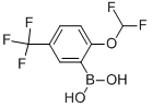 2-difluoromethoxy-5-trifluoromethyl-benzeneboronic acid Structure
