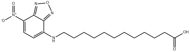 12-[(7-ニトロベンゾフラザン-4-イル)アミノ]ラウリン酸 化学構造式