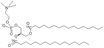 PHOSPHATIDYLCHOLINE, L-ALPHA-DIPALMITOYL, [DIPALMITOYL-1-14C] Structure