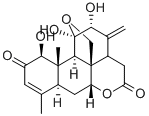 臭椿酮 结构式