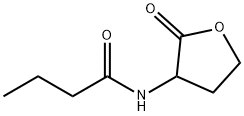 N-부티릴-DL-호모세린락톤