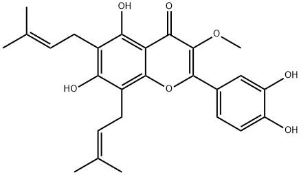 楮树黄酮醇B