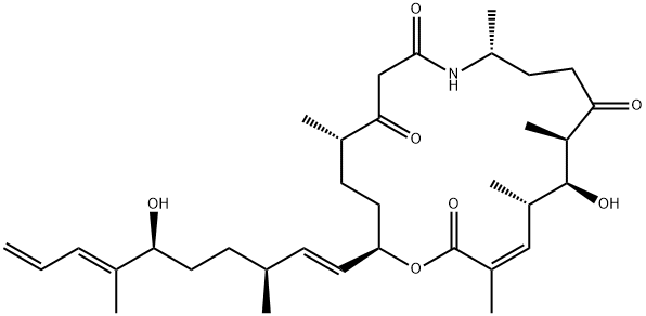 angiolam A|囊球内酰胺酯A