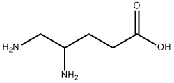 4,5-diaminopentanoic acid 化学構造式