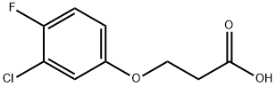 3-(3-氯-4-氟苯氧基)丙酸 结构式