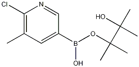 6-CHLORO-5-METHYLPYRIDINE-3-BORONIC ACID, PINACOL ESTER