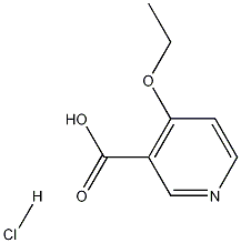 4-Ethoxypyridine-3-carboxylic acid hydrochloride Struktur